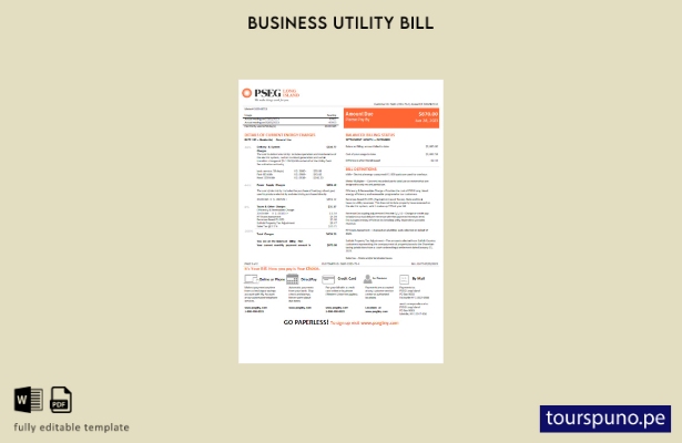 listo para imprimir la factura de servicios públicos de electricidad PSEG de Nue